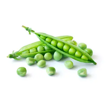 green peas (7)-6679574-18464.webp